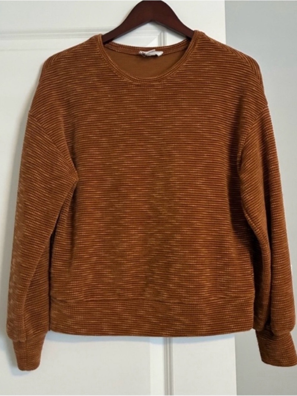 Anthropologie Sage The Label Golden Brown Velour Top